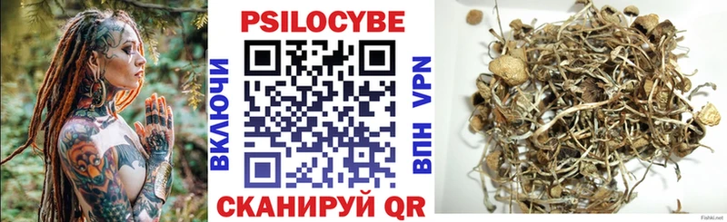Псилоцибиновые грибы Psilocybine cubensis  закладки  Сафоново 